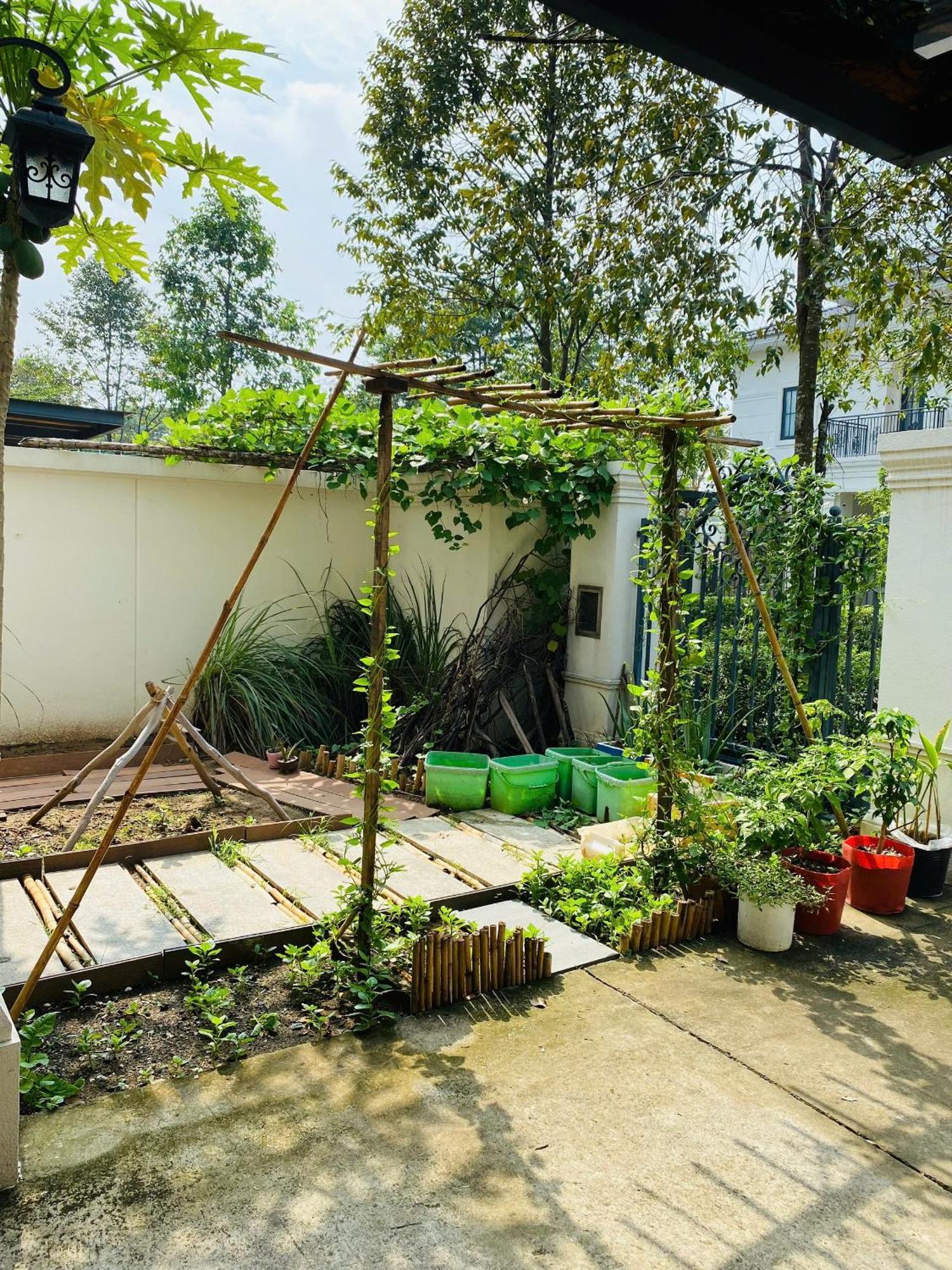 Thong Dong Homestay Phuoc Ly Exterior foto